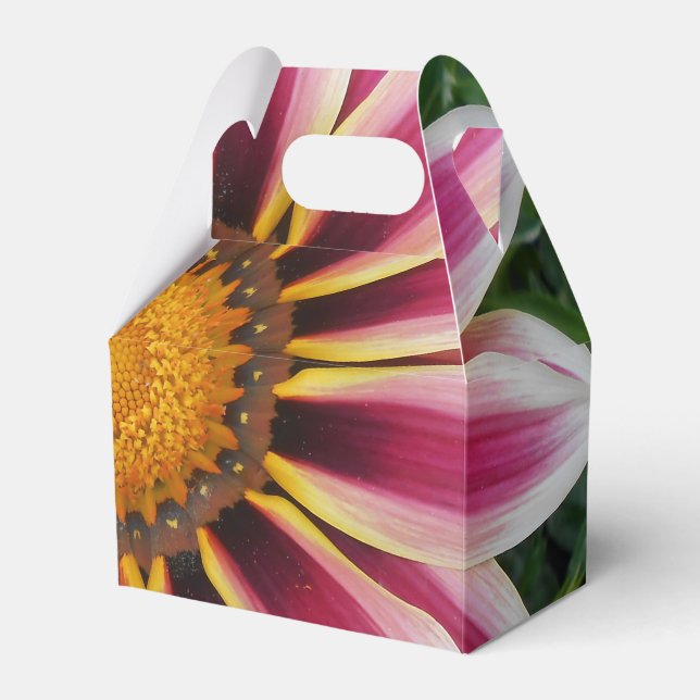 Caja Para Regalos Hereford (Front Side)