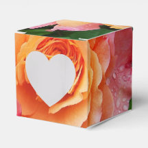 Hermosa foto de rosa rosa y naranja