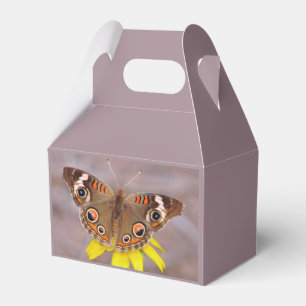 Caja Para Regalos Hermosa mariposa en flor amarilla