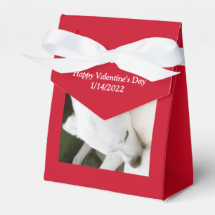 Caja Para Regalos Hermoso El día de San Valentín Rojo Perro Blanco P