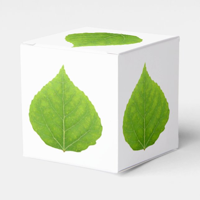 Caja Para Regalos Hoja verde de lápiz #11 (Costado Anverso)