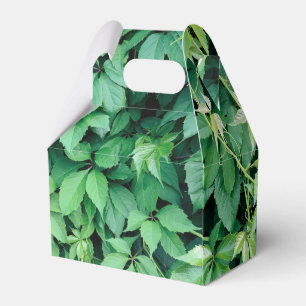Caja Para Regalos Hojas verdes de uva