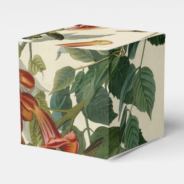 Caja Para Regalos Hummingbird Ruby Throated Audubon (Costado Anverso)