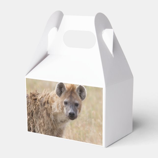 Caja Para Regalos Hyena (Reverso)