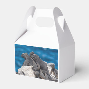 Caja Para Regalos Iguana marina
