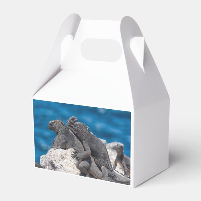 Caja Para Regalos Iguana marina (Reverso)