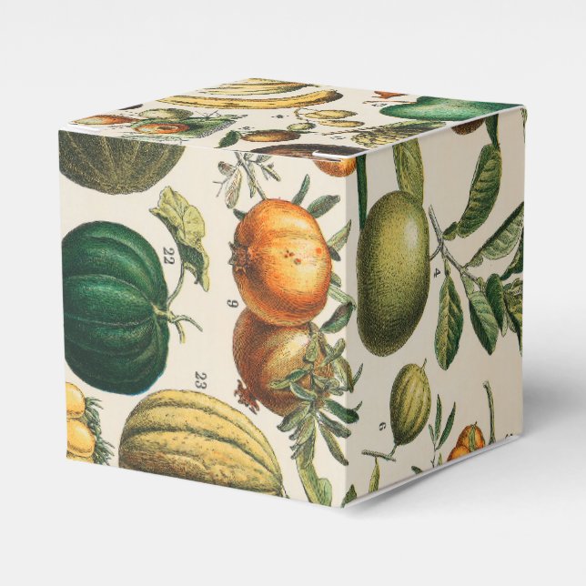 Caja Para Regalos Ilustracion científico botánico de frutas (Costado Anverso)