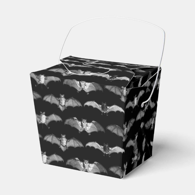 Caja Para Regalos Ilustraciones detallados de especies de murciélago (Front Side)