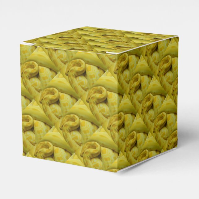 Caja Para Regalos Impresionante Python birmano amarillo (Costado Anverso)