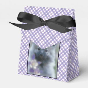 Caja Para Regalos Keeshond y Columbine - Fotografía de perro
