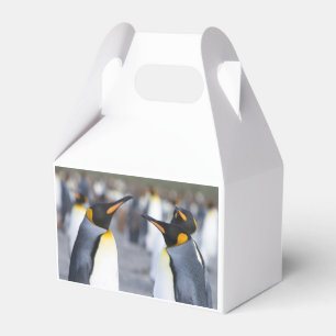 Caja Para Regalos King Penguins