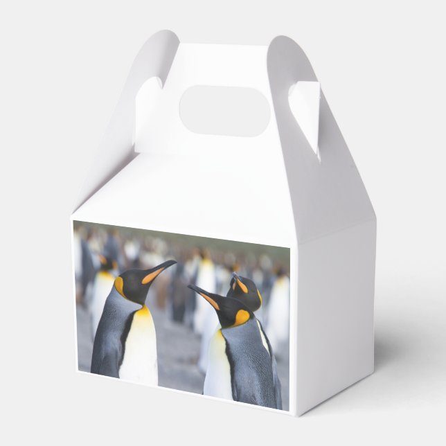 Caja Para Regalos King Penguins (Reverso)