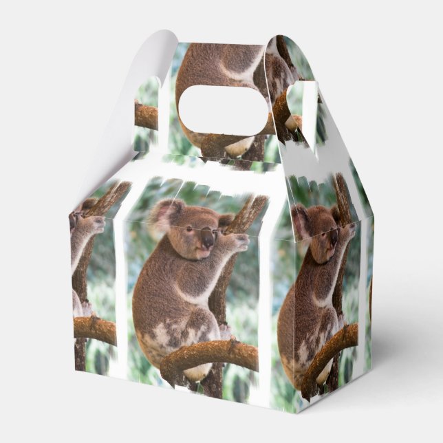 Caja Para Regalos Koala Bear (Front Side)