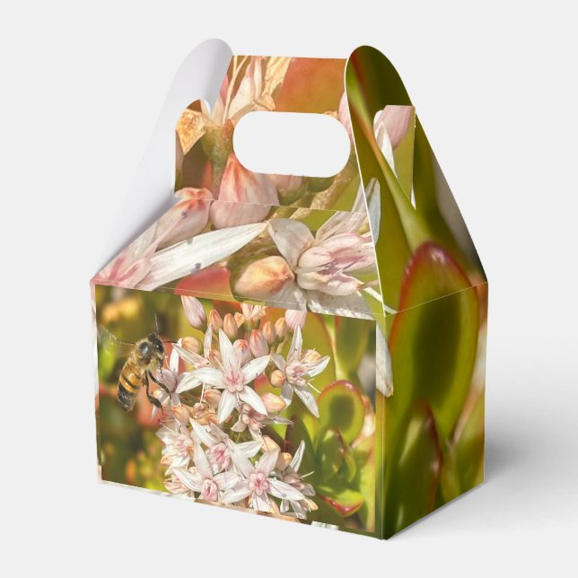 Caja Para Regalos La abeja (Front Side)