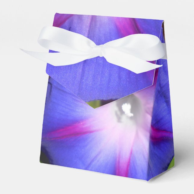 Caja Para Regalos Labille-Guiard (Front Side)