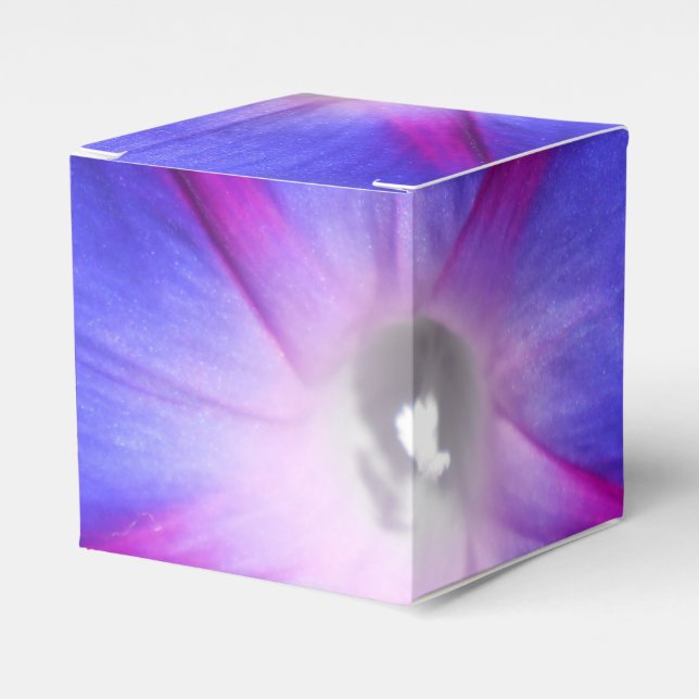 Caja Para Regalos Labille-Guiard (Costado Anverso)