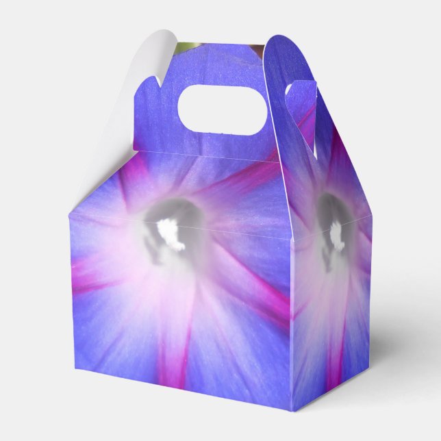 Caja Para Regalos Labille-Guiard (Reverso)