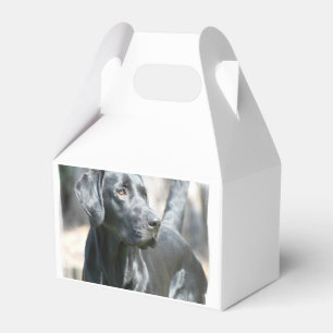 Caja Para Regalos Laboratorio negro
