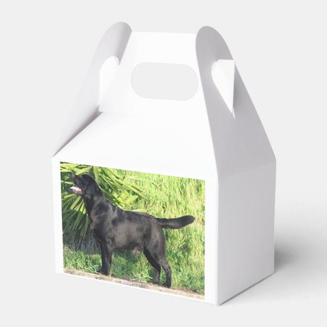 Caja Para Regalos laboratorio negro récord (Front Side)