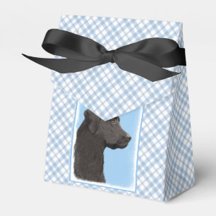 Caja Para Regalos Labrador recuperar pintura negra original de perro