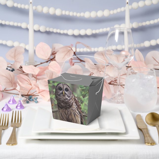 Caja Para Regalos Lechuza Barred (Boda)