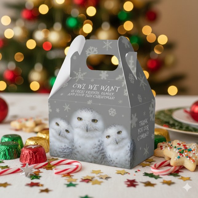 Caja Para Regalos Lechuza divertida que queremos para los Navidades. (Trio of Snowy Owls "Owl We Want" Favor Box Cover Photo)