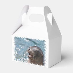 Caja Para Regalos León marino
