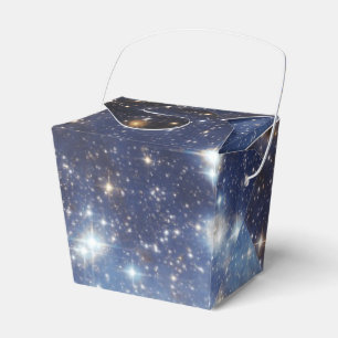 Caja Para Regalos LH 95 fotografía estelar en vivero