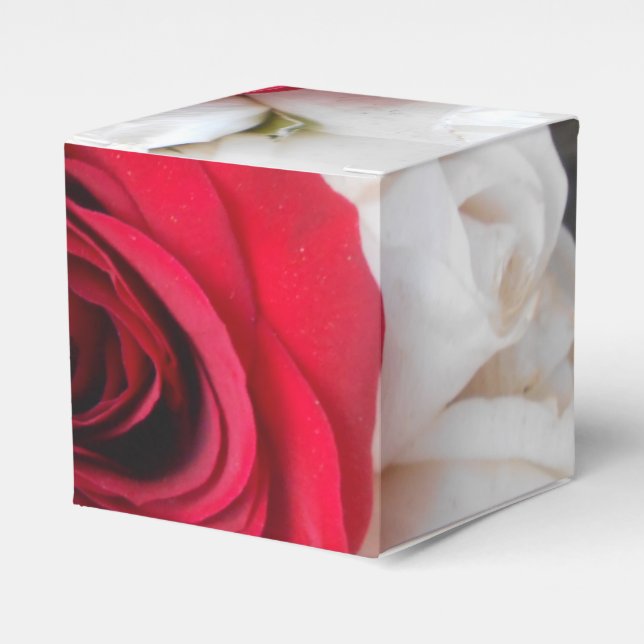 Caja Para Regalos Lindegren (Costado Anverso)