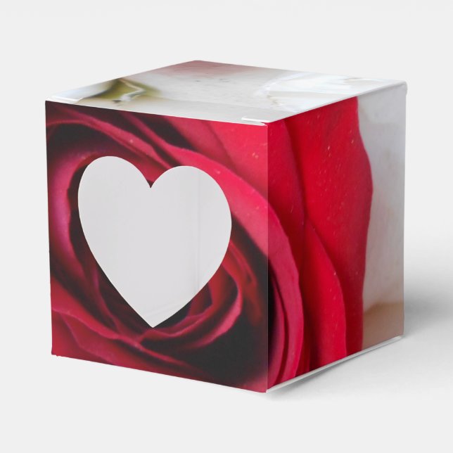 Caja Para Regalos Lindegren (Anverso)