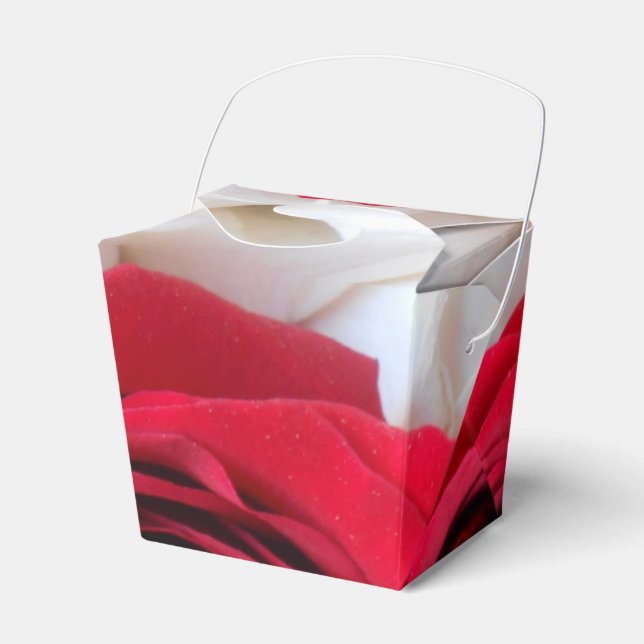 Caja Para Regalos Lindegren (Front Side)