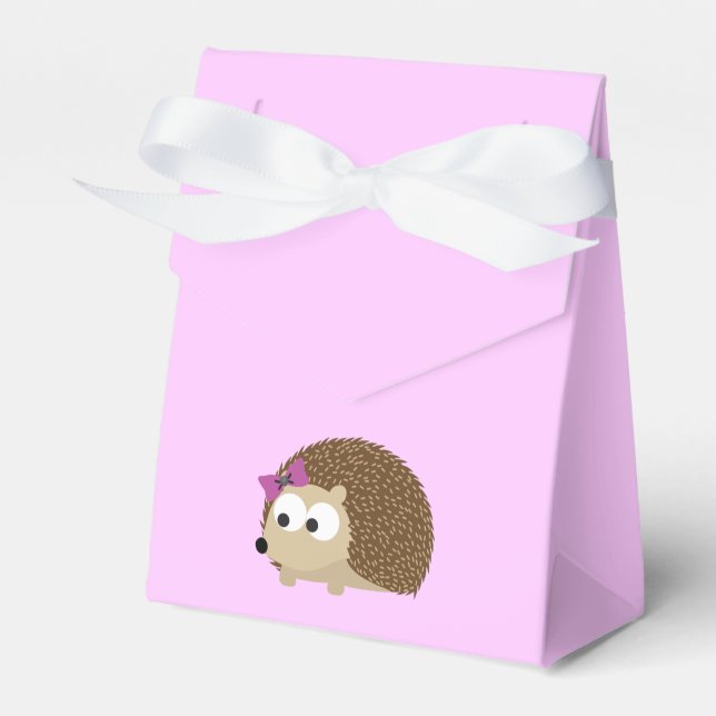 Caja Para Regalos lindo Chica hedgehog (Front Side)