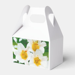 Caja Para Regalos Lirios blancos - Lilium candidum