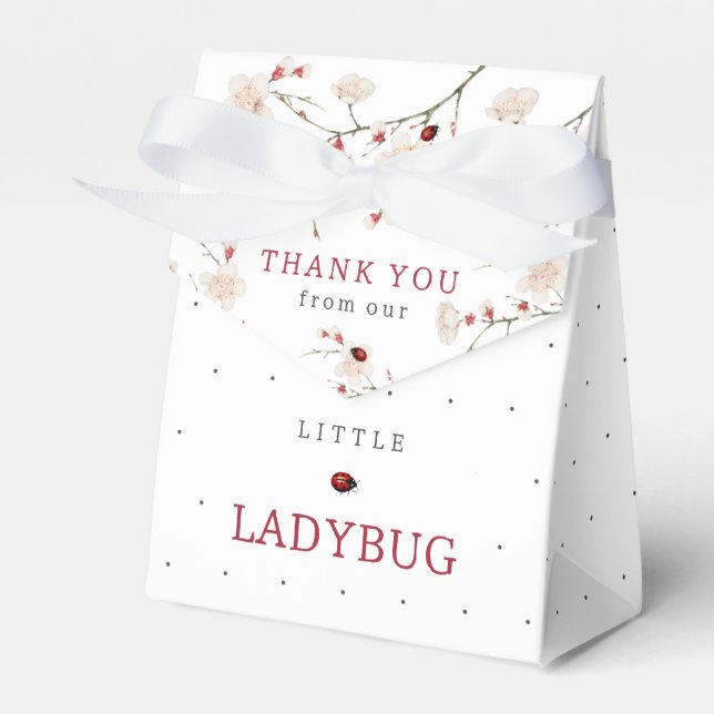 Caja Para Regalos Little Ladybug Baby Shower (Front Side)