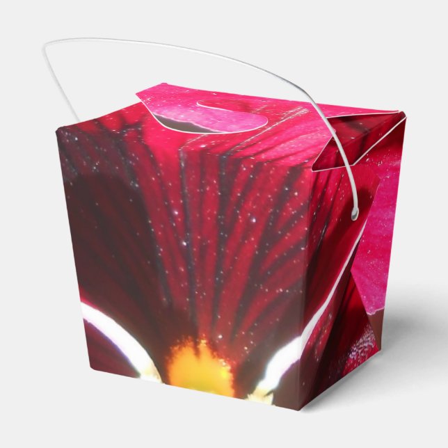 Caja Para Regalos Lucrezia (Reverso)