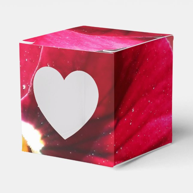 Caja Para Regalos Lucrezia (Anverso)