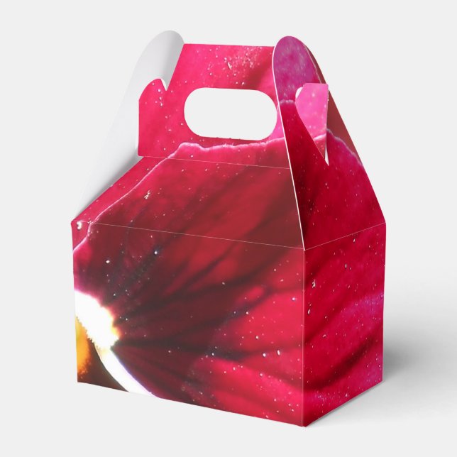 Caja Para Regalos Lucrezia (Front Side)