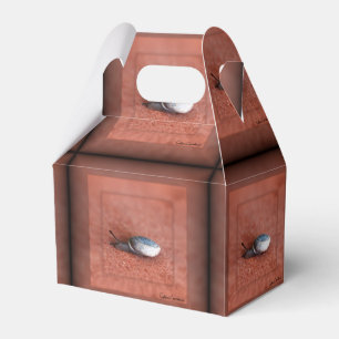 Caja Para Regalos Macrofotografía del caracol en Terracota