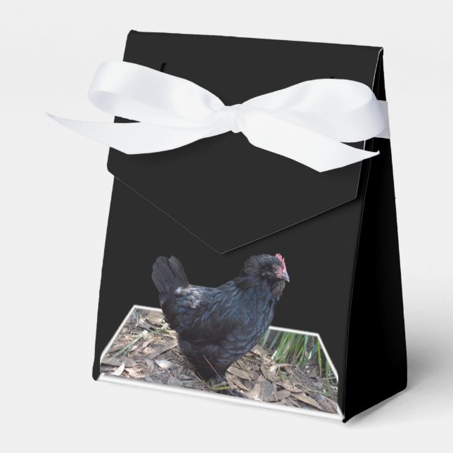 Caja Para Regalos "Madrugada de plumas: Un pollo negro en el arte de (Front Side)