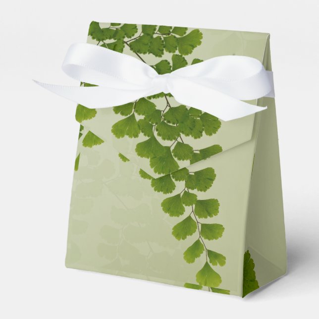 Caja Para Regalos Maiden Hair Fern Frond (Front Side)
