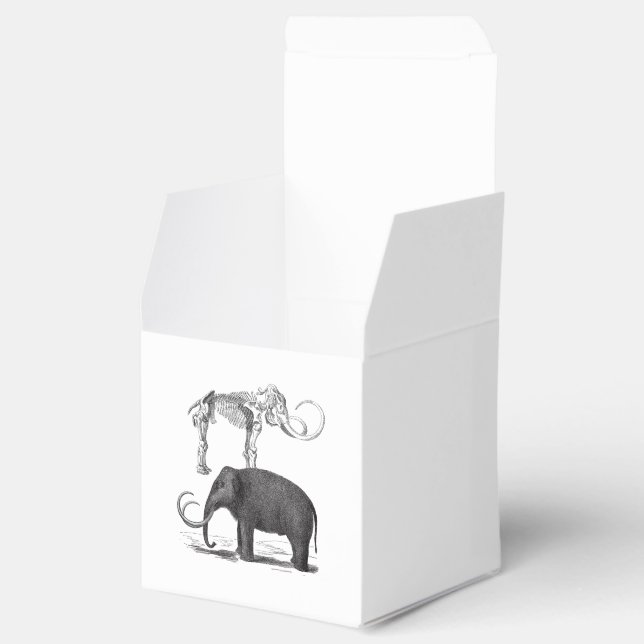 Caja Para Regalos Mamut Wooly Elefante Prehistórico y Skeleton (Abierto)