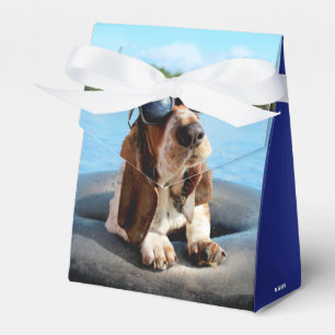 Caja Para Regalos Mano De Umbral En Los Lentes De Sol