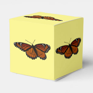 Caja Para Regalos Mariposa Viceroy Hermosa Fotografía de la Naturale