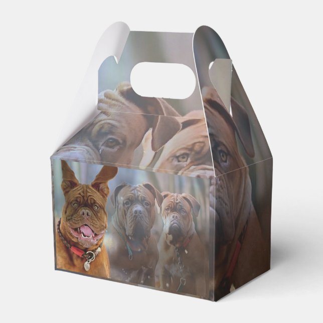 Caja Para Regalos Mastiff Plus (Front Side)