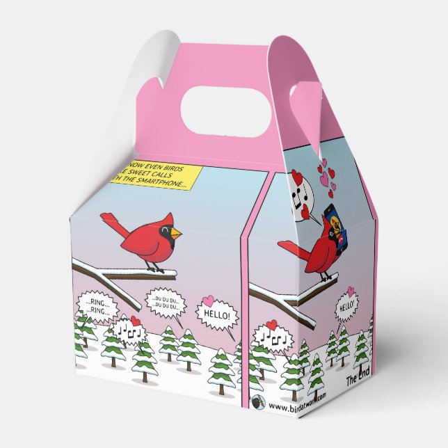 Caja Para Regalos Modern Bird Mating Calls Comic (Front Side)