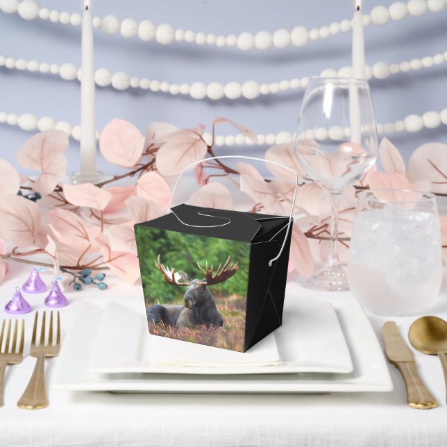 Caja Para Regalos Moose (Boda)