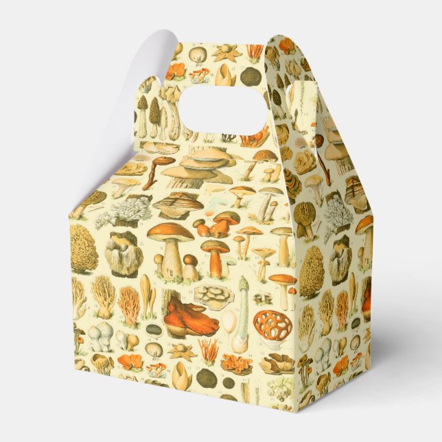 Caja Para Regalos Mushroom Vintage Toadstool Ilustracion antiguo (Front Side)
