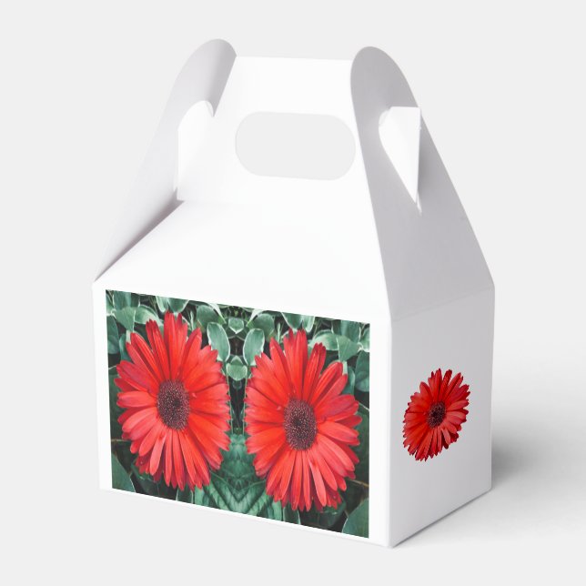 Caja Para Regalos Naranja Daisy Favor Box (Front Side)