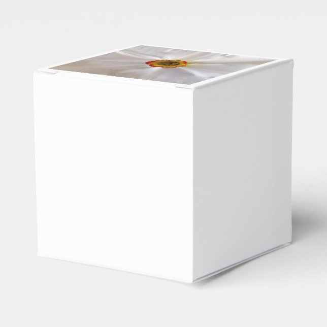 Caja Para Regalos narciso blanco perla (Costado Anverso)