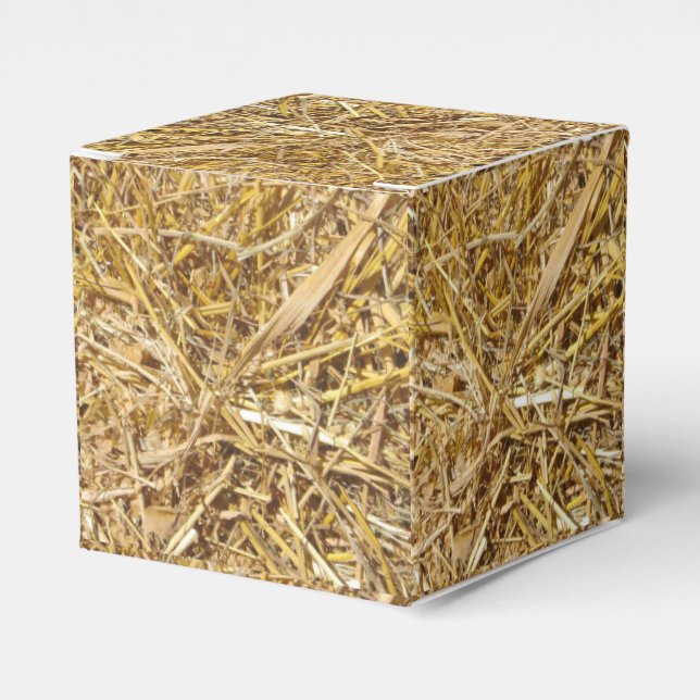 Caja Para Regalos Navidades Occidentales Partidarios Favor O Regalo  (Costado Anverso)